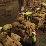 Sorting cocoa that has arrived from farms across the Ivory Coast. The country produces 30% of the worlds cocoa.