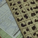 Fairtrade Cocoa Story in the Ivory Coast.