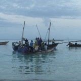 Fisherman leave at dawn off the coast of Zanzibar. Fishermen used to set sail at 6am and be back for 11am but with fish numbers so low many fishermen are returning mid afternoon.